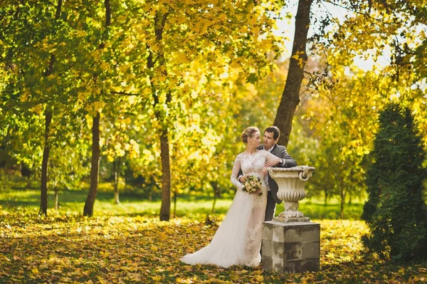 El suave abrazo de los recién casados en el fondo de la belleza — Foto de Stock