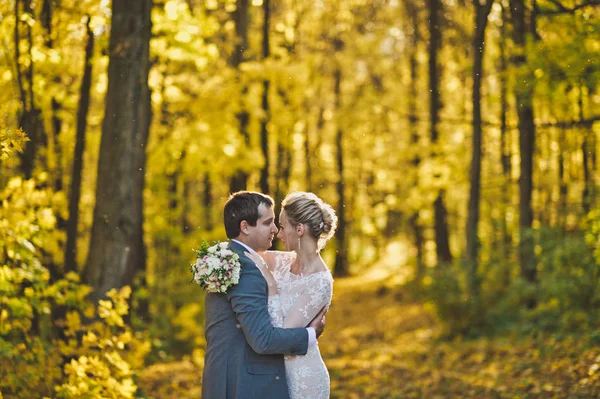 Portrait of the newlyweds in sunlit autumn woods 253. — Stock Photo, Image
