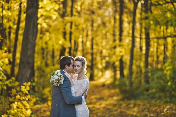 Portrait of the newlyweds in sunlit autumn woods 252. — Stock Photo, Image