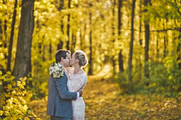 Retrato de los recién casados en bosques de otoño iluminados por el sol 255 . —  Fotos de Stock