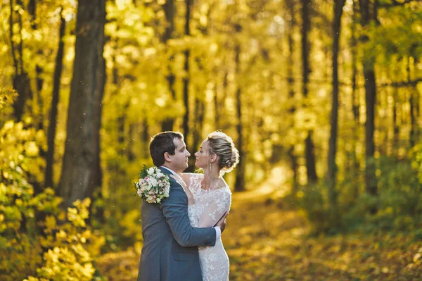 Portrait of the newlyweds in sunlit autumn woods 254. — Stock Photo, Image