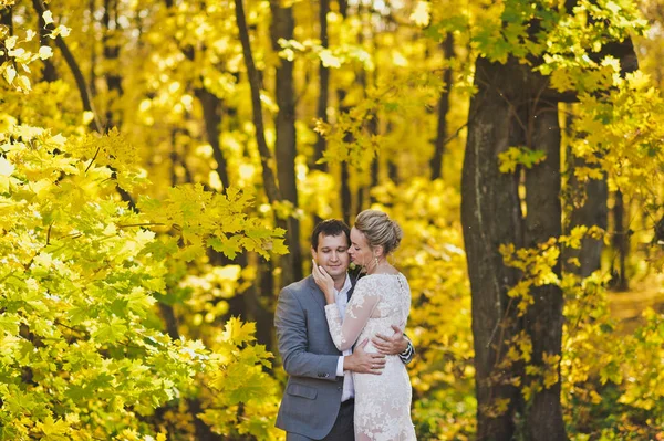 Nevěsta a ženich na pozadí jasně osvětlené zlatý — Stock fotografie