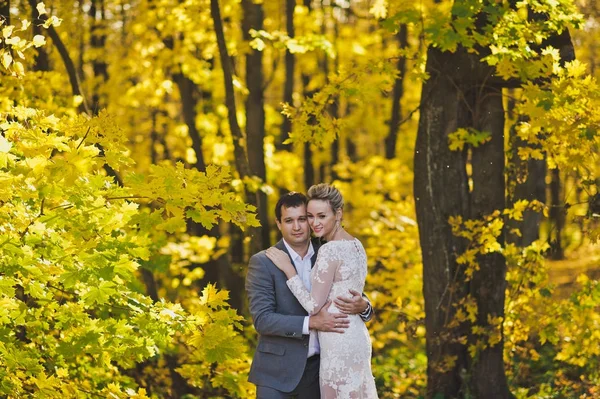 Жених и невеста на фоне ярко освещенного Золотого — стоковое фото
