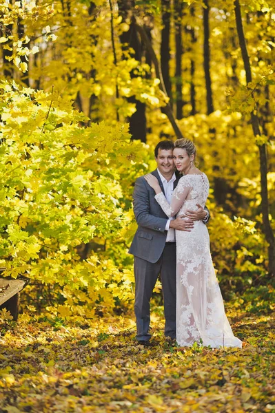 La novia y el novio en el fondo del dorado brillantemente iluminado — Foto de Stock