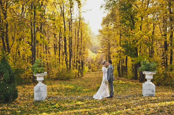 La pareja entre las paredes del bosque de otoño 270 . — Foto de Stock