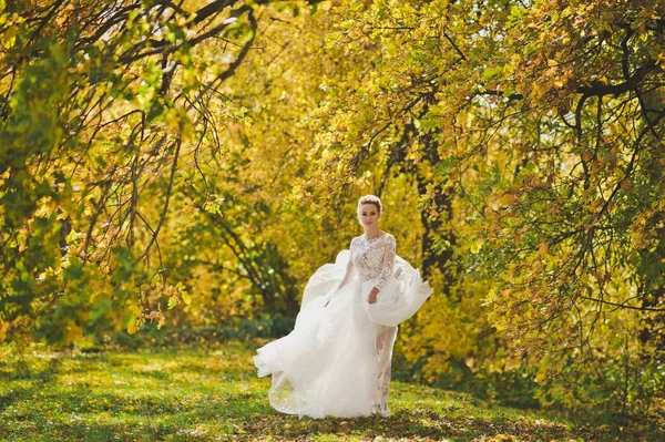 Retrato de una novia en un vestido blanco girando en el prado autu — Foto de Stock