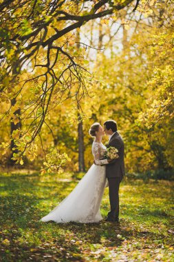 Gelin ve damat sonbahar orman yollarında 309 yürüyüş.