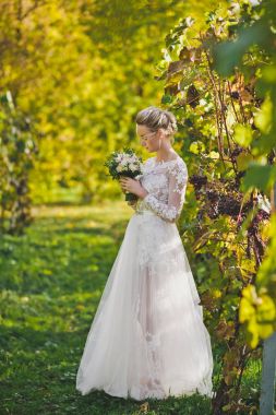 367 üzüm bağları arka plan üzerinde mutlu güzel gelin.