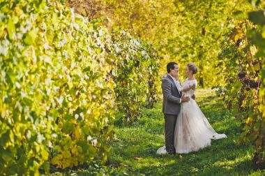 Güzel bir genç çift 374 üzüm bağları arasında yürüyor.