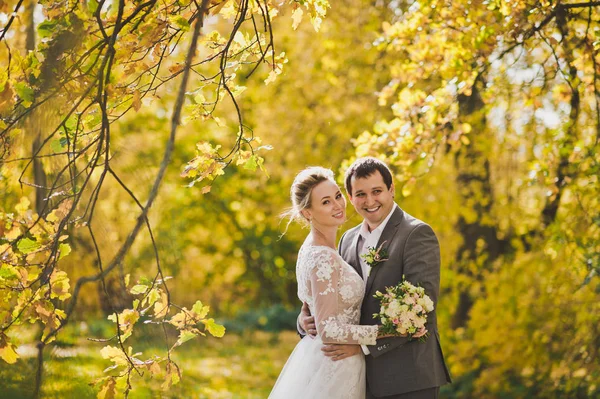 La novia y el novio caminando por los senderos de los bosques de otoño 303 . —  Fotos de Stock