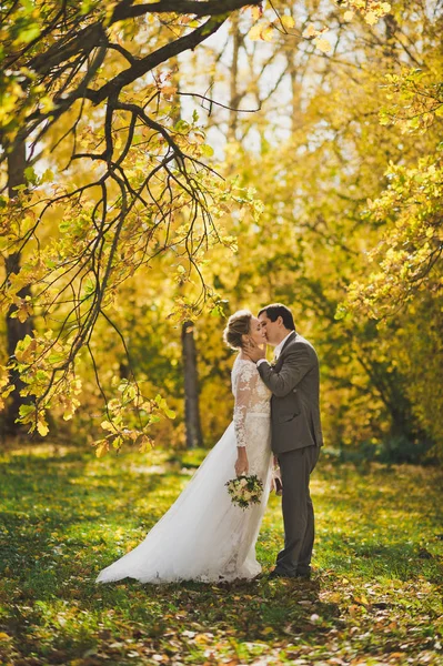 A menyasszony és a vőlegény séta az őszi erdők út 306. — Stock Fotó