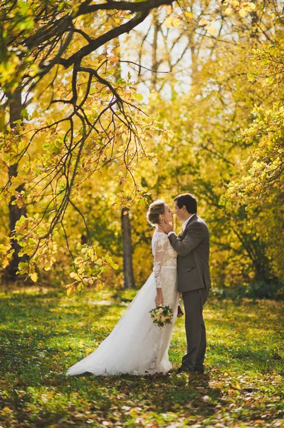 Les mariés marchant dans les sentiers des forêts d'automne 307 . — Photo