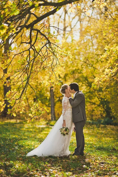 A menyasszony és a vőlegény séta az őszi erdők út 308. — Stock Fotó
