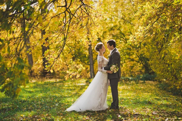 La novia y el novio caminando por los senderos de los bosques de otoño 310 . — Foto de Stock