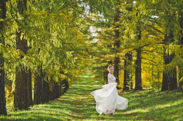 Feliz novia en una hermosa mesa para bailar 337 . — Foto de Stock