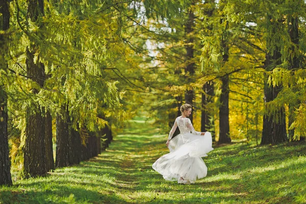 Feliz novia en una hermosa mesa para bailar 339 . — Foto de Stock