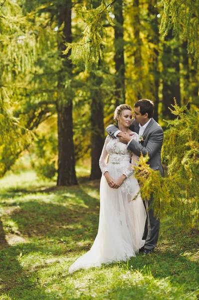 Heureux en amour les jeunes mariés marchent dans le jardin d'automne 342 . — Photo