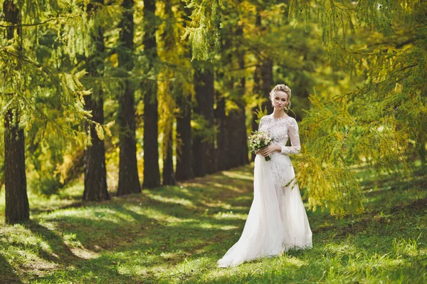 Tánc a menyasszony a fényes őszi erdőben 341. — Stock Fotó