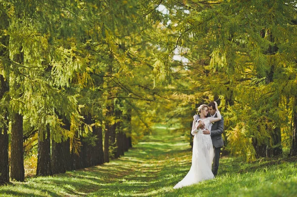 Feliz no amor os recém-casados caminham no jardim de outono 345 . — Fotografia de Stock