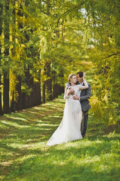 Primeira vez casais jovens 348 . — Fotografia de Stock