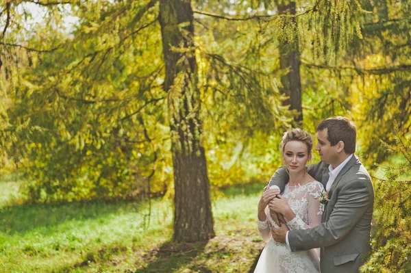 Hermosas fotos brillantes y jugosas de otoño de los recién casados 351 . — Foto de Stock