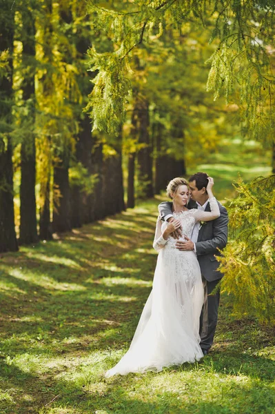 Primera vez parejas jóvenes 349 . —  Fotos de Stock