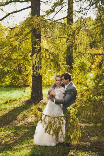 Beautiful autumn bright and juicy pictures of the newlyweds 352. — Stock Photo, Image