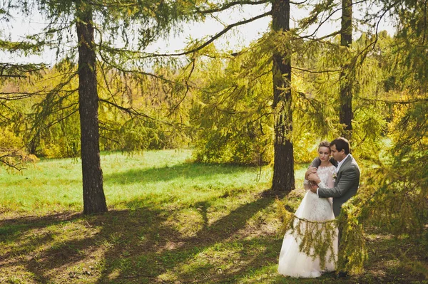 Outono bonito imagens brilhantes e suculentas dos recém-casados 353 . — Fotografia de Stock
