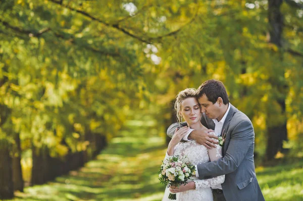 Photographies d'automne des jeunes mariés dans la forêt ensoleillée 359 . — Photo