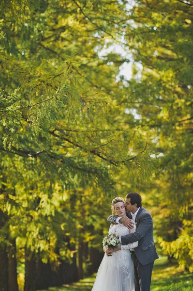 Fotografías otoñales de los recién casados en el bosque soleado 362 . —  Fotos de Stock