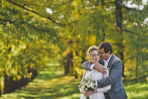 Fotografías otoñales de los recién casados en el bosque soleado 361 . —  Fotos de Stock