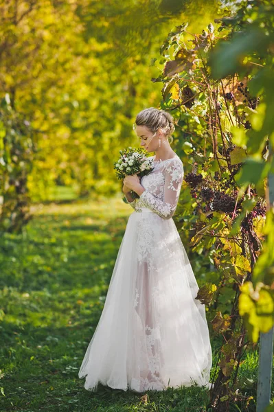 Felice bella sposa sullo sfondo dei vigneti 366 . — Foto Stock