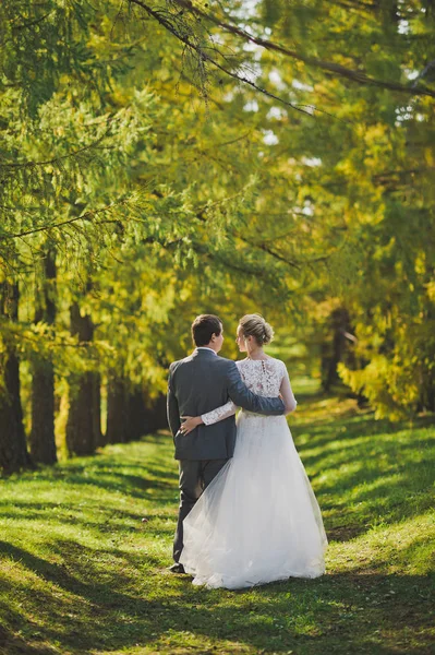 Fotografías otoñales de los recién casados en el bosque soleado 365 . —  Fotos de Stock