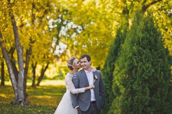 The couple stand about six-foot young trees 387. — Stock Photo, Image