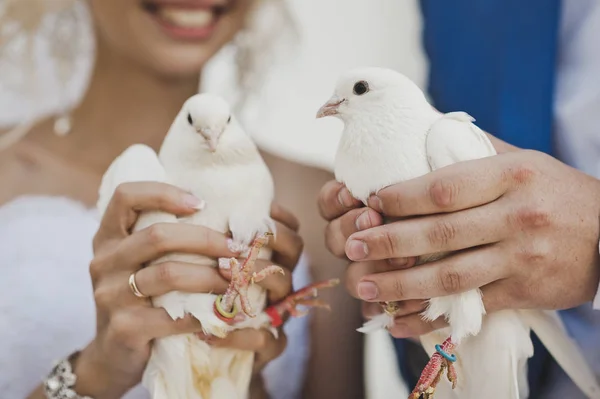 O costume de soltar pombas na cerimônia 7856 . — Fotografia de Stock