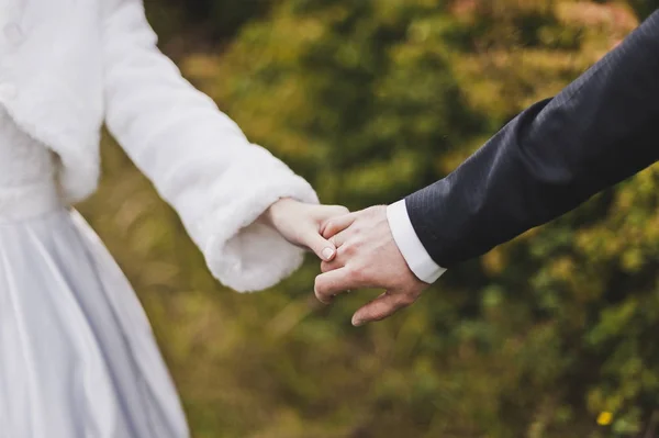 De bruid houdt de bruidegoms hand 7915. — Stockfoto