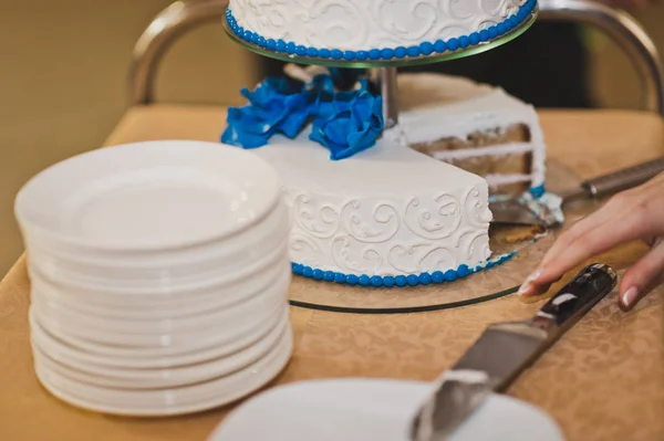 Una torta enorme con fiori blu dalla crema 7921 . — Foto Stock