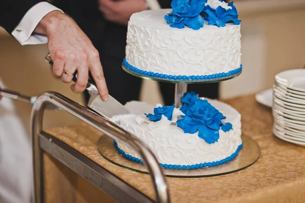 クリーム 7922 から青い花と巨大なケーキ. — ストック写真