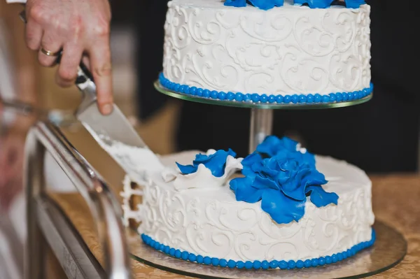 クリーム 7923 から青い花と巨大なケーキ. — ストック写真