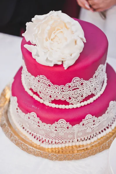Wedding cake on the table 7966. — Stock Photo, Image