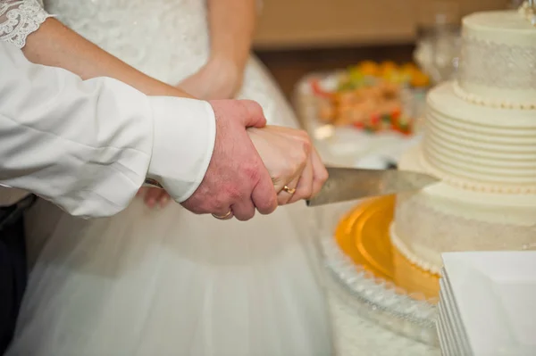 Der Prozess des Kuchenschneidens der Frischvermählten 517. — Stockfoto