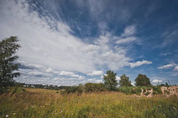 Zomer weide landschap rond kleine bosjes 544. — Stockfoto