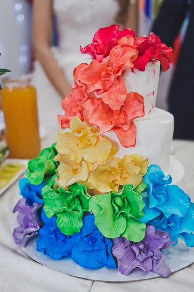 Torta nuziale arcobaleno con motivi floreali 704 . — Foto Stock