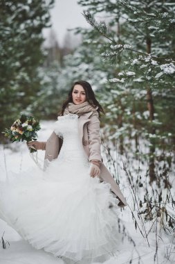 Kış karla kaplı orman firs ve PIN karşı gelin