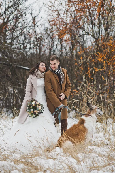 Paar auf Winterspaziergang mit dem Hund 805. — Stockfoto