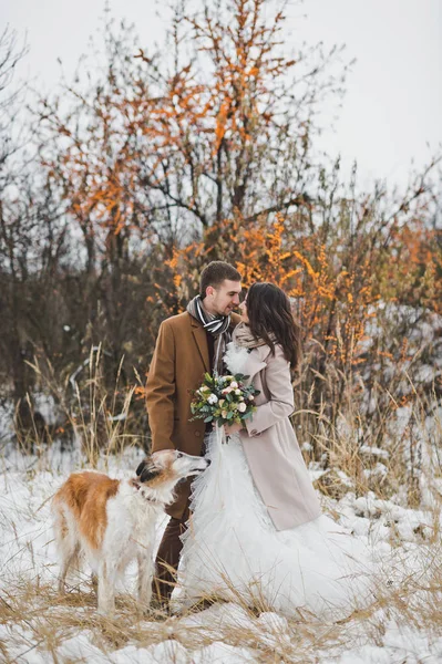 Porträt des Brautpaares im Winter für einen Spaziergang mit Hund 809. — Stockfoto