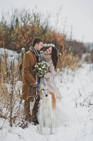 Braut und Bräutigam auf einem Winterspaziergang mit einem russischen Windhund — Stockfoto