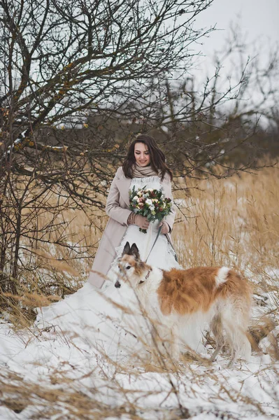 La mariée dans une robe chic avec un chien dans le champ d'hiver 820 . — Photo