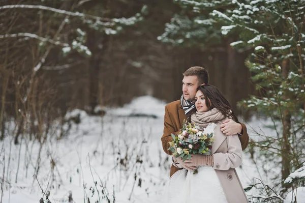Un jeune couple se dresse contre une pinède neigeuse 869 . — Photo