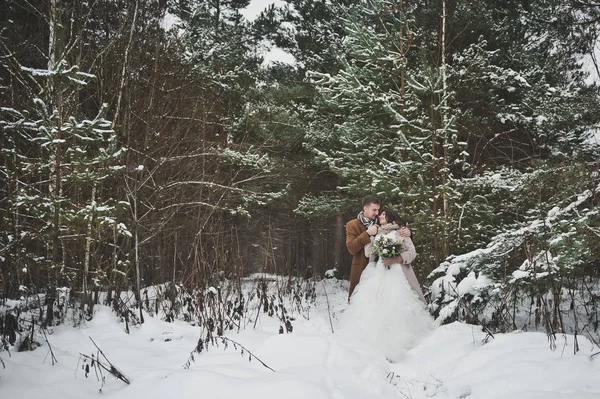 Portrait de la mariée et le marié autour des arbres tombés envahi wi — Photo